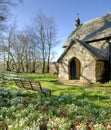 Snowdrops in a churchyard Royalty Free Stock Photo