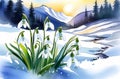 Snowdrops emerging through snow close up with mountain landscape background . Spring,winter blooms.
