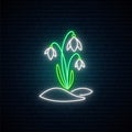 Snowdrops flowers neon sign.