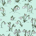 Snowdrops flowers seamless pattern. Beginning of spring