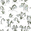 Snowdrops flowers on the snow seamless pattern. Beginning of spring