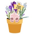 Spring Happy Easter design element, bunny in pot with grasses, crocus, forget-me-not and chamomile flowers. Royalty Free Stock Photo