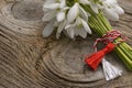 Snowdrops isolated on wooden background.