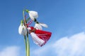 Snowdrops and martenitsa against the blue sky. Martisor. Baba Marta Day - Bulgarian holiday. Concept. Copy space