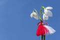 Snowdrops and martenitsa and blue sky. March 1st tradition martisor. Bulgarian holiday of Baba Marta. Copy space