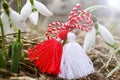 Snowdrop spring flowers with martenitsa. Baba Marta day Royalty Free Stock Photo