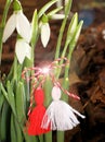 Snowdrops and martenitsa. Symbols of spring. White snowdrop flowers and martisor. Baba Marta Royalty Free Stock Photo