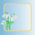 Snowdrops spring flower frame place for text vector Royalty Free Stock Photo