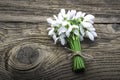 Snowdrops, 1st of March tradition white and red cord martisor isolated on wooden background Royalty Free Stock Photo