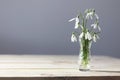 Snowdrops on the table. Spring flowers bouquet. Snowdrops background. Spring flowers on the wooden table. Holiday desk. Holiday fl