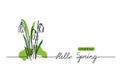 Snowdrops vector sketch and lettering Hello Spring. First flowers one continuous line drawing. Hello Spring handwritten