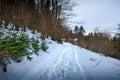 Snowed footpath to La Roche d Ajoux in Beaujolais Royalty Free Stock Photo