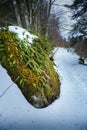 Snowed footpath to La Roche d Ajoux in Beaujolais Royalty Free Stock Photo