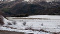 Snowed landscape. Flock of sheep moving to the left