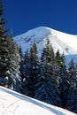 Snowed peak in Carpathian mountains