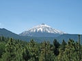 Snowed Teide