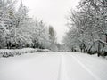 Snowed up road Royalty Free Stock Photo