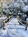 bridge in the snowed forest