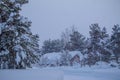 Snowfall around the Forest House