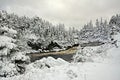 Snowfall at Big River in Avalon Peninsula, Newfoundland, Canada Royalty Free Stock Photo