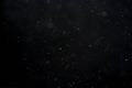 Abstract black white snow texture on black background for overlay Royalty Free Stock Photo