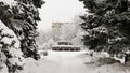 Snowfall in campus of famous Russian university with snowed naked tree branches