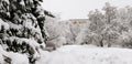 Snowfall in campus of famous Russian university with snowed naked tree branches