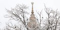 Snowfall in campus of famous Russian university with snowed naked tree branches in winter