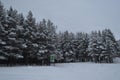 After snowfall in the city of Kandalaksha. December 2019 year Royalty Free Stock Photo