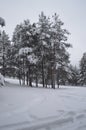 After snowfall in the city of Kandalaksha. December 2019 year Royalty Free Stock Photo