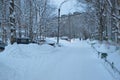 After snowfall in the city of Kandalaksha. December 2019 year Royalty Free Stock Photo