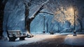 Snowfall in the city park at night in winter, snow-covered trees in the park illuminated by lanterns Royalty Free Stock Photo