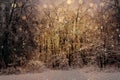 Snowy forest, snowfall in the evening bokeh effect