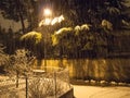 Snowfall in the evening