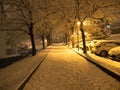 Snowfall in the evening