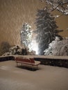 Snowfall in the evening