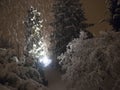 Snowfall in the evening