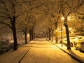 Snowfall in the evening