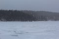 A snowfall over a frozen bay in Canada with a forest of evergreen trees