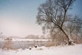 Snowfall over the river. Winter misty cloudy snowy weather. Royalty Free Stock Photo