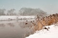 Snowfall over the river. Winter misty cloudy snowy weather. Royalty Free Stock Photo