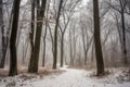 Snowfall park forest walk. Generate Ai Royalty Free Stock Photo
