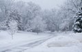 Snowfall in park, snow plow