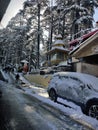 Snowfall In Shimla India