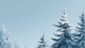 Snowfall Silent Forestline Royalty Free Stock Photo