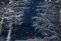 Snowfall on the street. The road is covered in snow, there are many snowflakes in the air. Snowstorm and snowfall in the city, Royalty Free Stock Photo