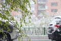 Snowfall in the summer in the Russian city of Nadym on Yamal