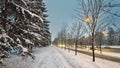 After the snowfall, there is snow on the streets and trees. The sidewalks and roadways have been cleared by public utilities. Cars Royalty Free Stock Photo