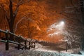 Snowfall trail at park of Namsan tower of Seoul Korea