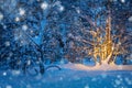 Snowfall and Tree with garland warm lights in night snowy winter